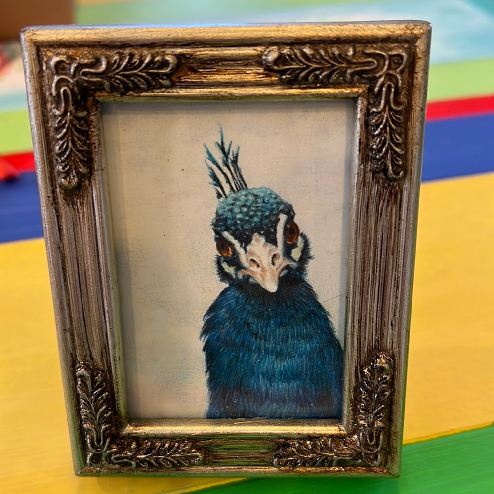Original mini ACEO drawing by Chandra Valli Paetsch. Peacock incredible detail. - Picture 1 of 4